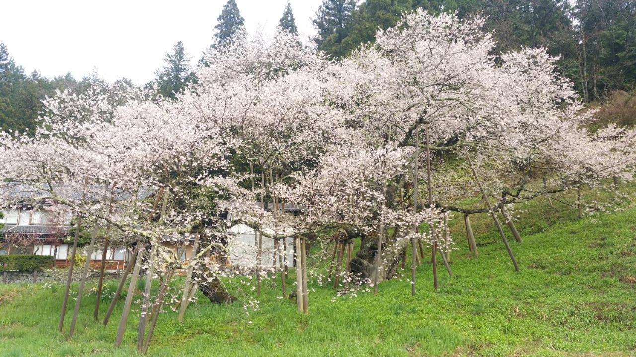 Maison d'hôtes お値打ちなお宿 Don Takayama (Gifu)